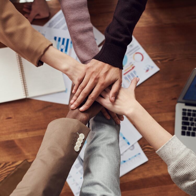 Building A High Performing Team